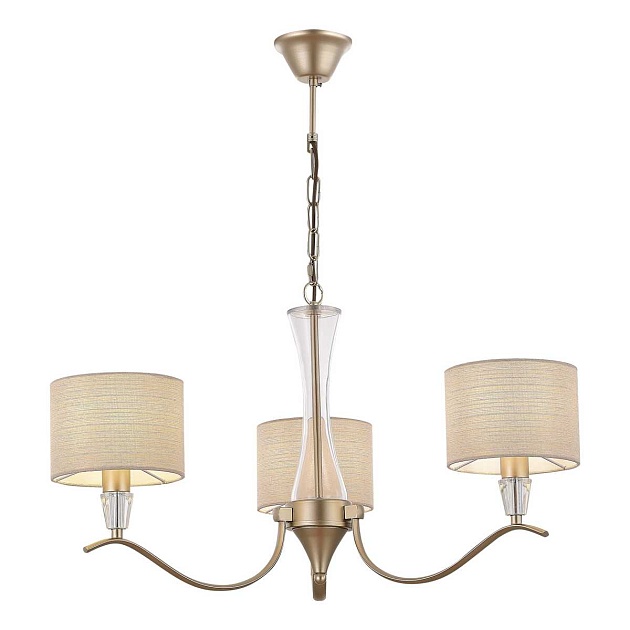 Подвесная люстра Evoluce Cassia SLE1126-203-03 изображение 1 Подвесная люстра Evoluce Cassia SLE1126-203-03 Фото № 1