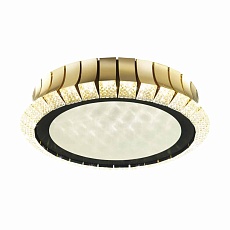 Потолочный светодиодный светильник Odeon Light Asturo 4994/75L 1