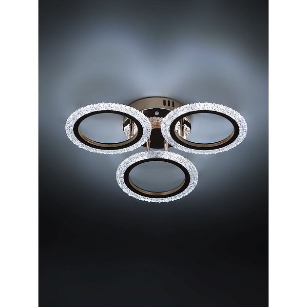 Потолочная светодиодная люстра Rivoli Evlalia 6178-703 Б0068399 Фото № 6