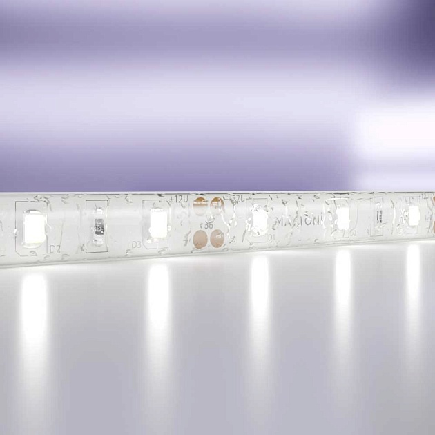 Светодиодная лента Standard Maytoni Led Strip 20006 изображение 1 Светодиодная лента Standard Maytoni Led Strip 20006 Фото № 1