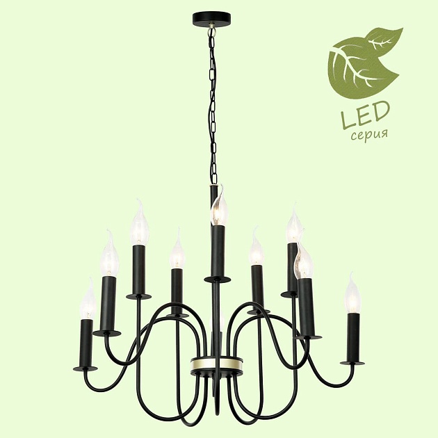 Подвесная люстра Lussole Lgo Roosevelt GRLSP-8198 изображение 4 Подвесная люстра Lussole Lgo Roosevelt GRLSP-8198 Фото № 4
