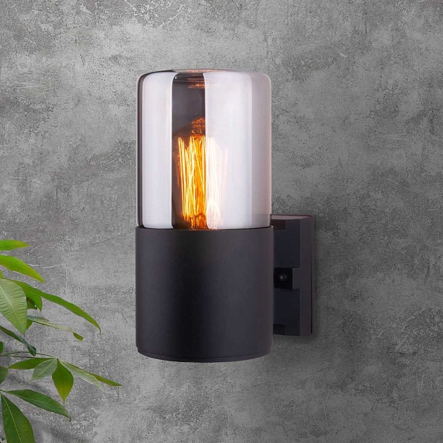 Уличный настенный светильник Elektrostandard Roil 35125/U a055630 Фото № 2