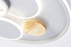 Потолочный светодиодный светильник Ambrella light Comfort LineTech FL4803 4