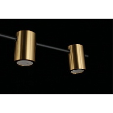 Потолочная люстра Aployt Elwisia APL.633.07.10 4