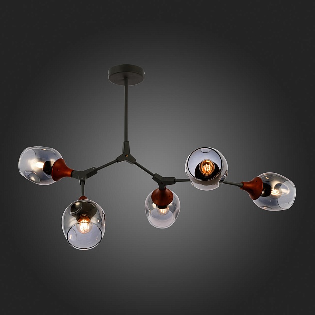 Потолочная люстра Evoluce Ciotolla SLE113402-05 изображение 3 Потолочная люстра Evoluce Ciotolla SLE113402-05 Фото № 3