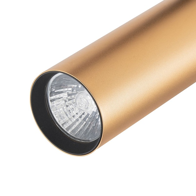 Трековый светильник Escada 20001TRA/02 BR Фото № 2