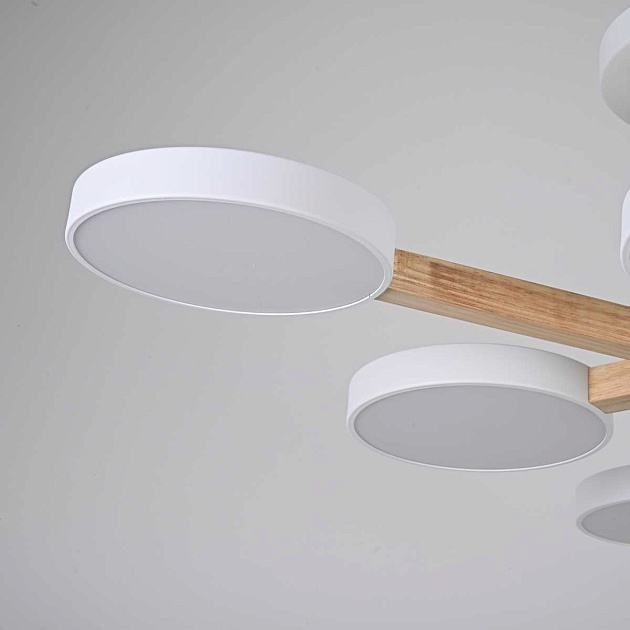 Потолочный светильник Imperium Loft TURNA-B01 141108-26 Фото № 3