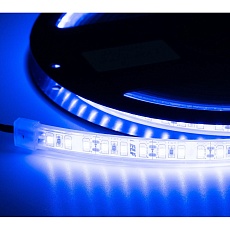 Лента светодиодная герметичная ELF 600SMD (2835), 12В, IP68, 5м, синий ELF-600SMD2835-IP68-B