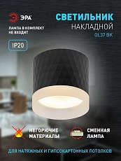 Настенно-потолочный светильник ЭРА OL37 BK Б0056384 2