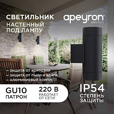 Уличный настенный светильник Apeyron Grafite 11-119 5