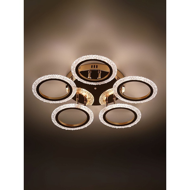 Потолочная светодиодная люстра Rivoli Evlalia 6178-733 Б0068423 Фото № 6