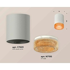Комплект накладного светильника Ambrella light Techno Spot XS7423005 SGR/CF серый песок/кофе (C7423, N7195) 1