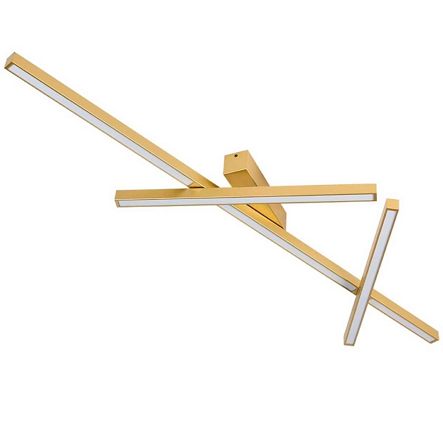 Потолочный светодиодный светильник Odeon Light Tao 4368/50CL Фото № 1