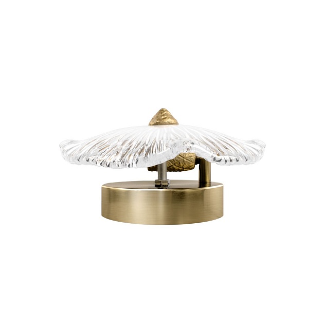 Настенный светильник Loft IT Bloom 10352W/A AB Фото № 5