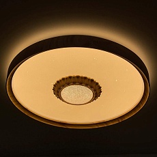 Потолочный светодиодный светильник Profit Light 2090/450 WH+WD RGB 1