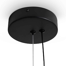 Подвесной светильник Freya FR6186PL-L7SM1 2