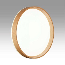 Настенно-потолочный светильник Sonex GARI WOOD 7684/DL 2