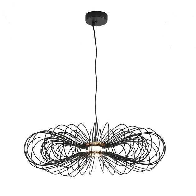 Подвес Lumion CAMOMILE 8301/10L Фото № 2