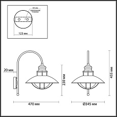 Уличный настенный светильник Odeon Light Nature Dante 4164/1WA 2