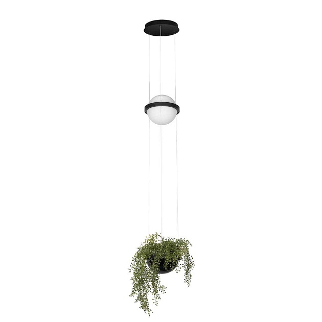 Подвесной светильник LOFT IT Jardin 10121/B Фото № 1