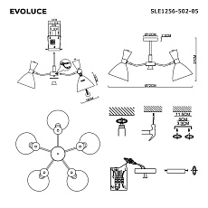 Потолочная люстра Evoluce Vista SLE1256-502-05 1