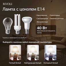Настольная лампа Rivoli Muriel 7550-502 Б0070137 1