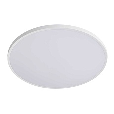 Настенно-потолочный светодиодный светильник Lightstar Arco Eco 225740