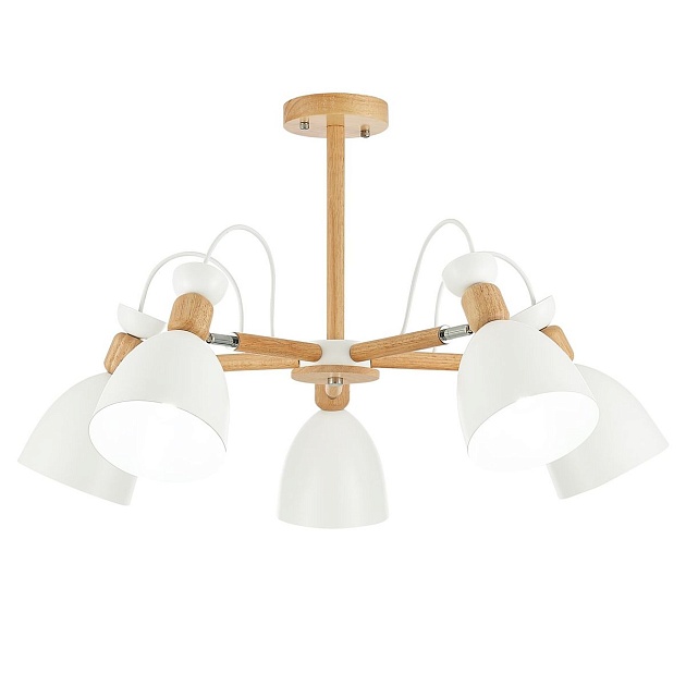 Потолочная люстра Evoluce Balcamo SLE103802-05 изображение 1 Потолочная люстра Evoluce Balcamo SLE103802-05 Фото № 1
