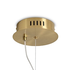 Подвесной светодиодный светильник Freya Grail FR6183PL-L4BS 1
