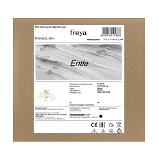 Потолочная люстра Freya Энтле / Entle FR5465CL-05W 3