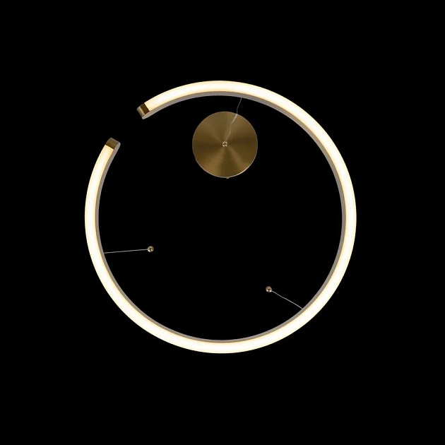 Подвесной светодиодный светильник Loft IT Ring 10013L изображение 2 Подвесной светодиодный светильник Loft IT Ring 10013L Фото № 2
