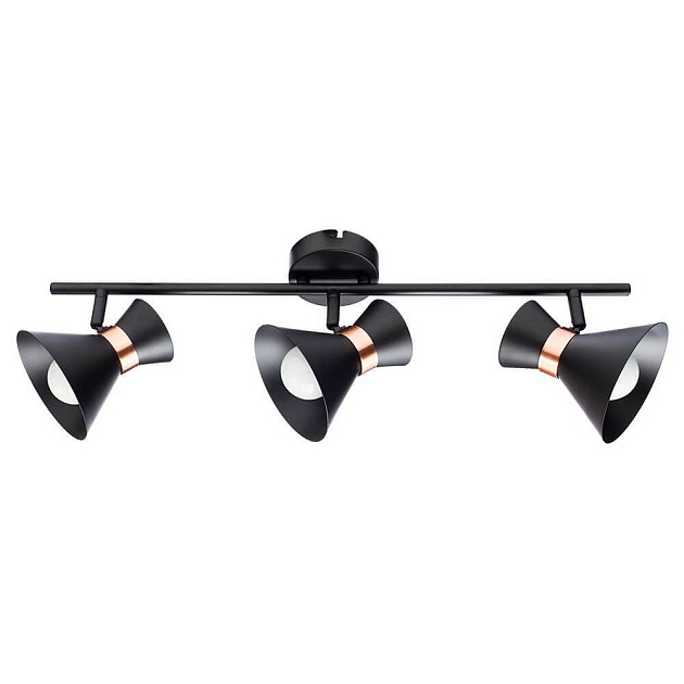 Спот Arte Lamp Baltimore A1406PL-3BK Фото № 1
