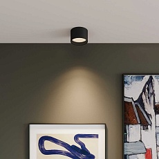 Потолочный светодиодный светильник Elektrostandard Banti 13W 3000K черный 25123/LED a063929 3