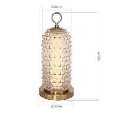 Настольная лампа ST Luce SAGUARO SL6144.304.01 3