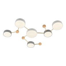 Потолочный светильник Evoluce DOSSENA SLE600102-06 1