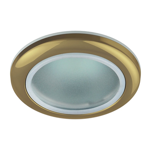 Встраиваемый светильник ЭРА Влагозащитный WR1 GD C0043846 Фото № 1