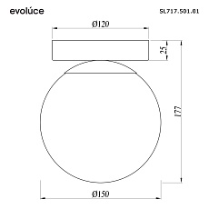 Настенно-потолочный светильник Evoluce Acini SL717.501.01 1