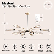 Подвесная люстра Maytoni Ventura MOD012CL-12G 1