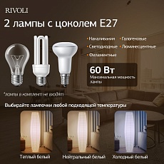 Торшер Rivoli Andreea 7094-602 Б0071555 1