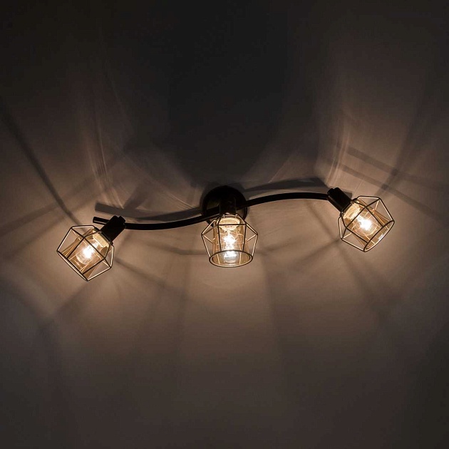 Спот Citilux Таверна CL542531 Фото № 2