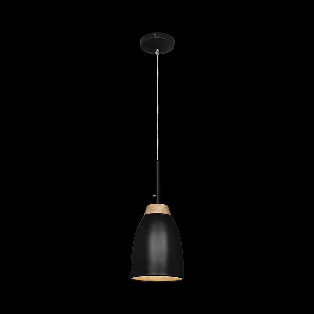 Подвесной светильник Loft IT Watchman Loft4402A-Bl изображение 2 Подвесной светильник Loft IT Watchman Loft4402A-Bl Фото № 2