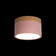 Накладной светодиодный светильник Loft IT Grape 10162 Pink 1
