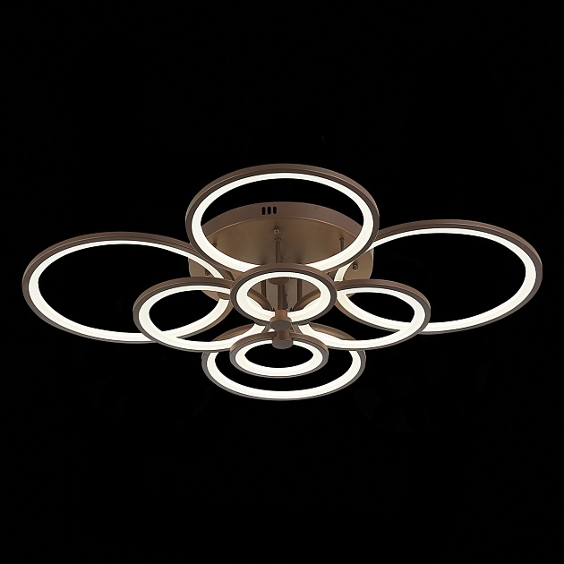 Потолочная светодиодная люстра Evoled Leto SLE200372-08 фото 2