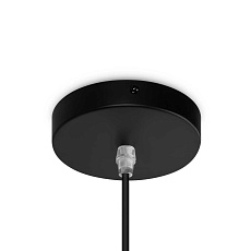 Подвесной светильник Freya Форма / Shape FR5335PL-01B2 3