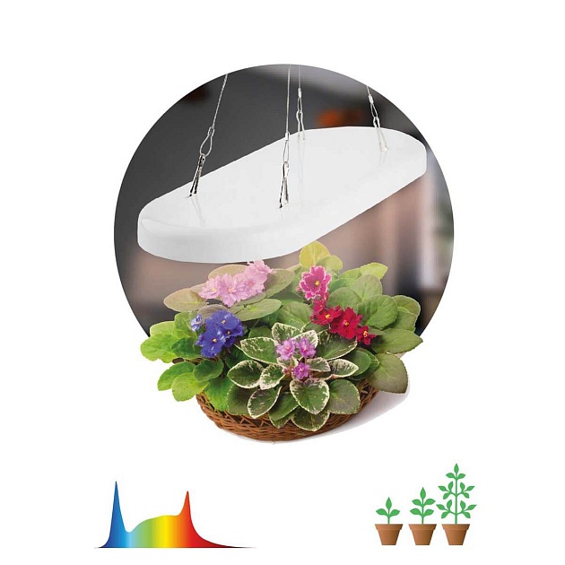 Светодиодный подвесной светильник для растений ЭРА Fito-25W-Qled-Fly Б0053062 фото 6