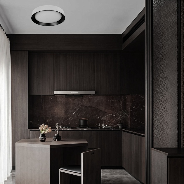 Потолочный светильник Loft it Coin 10202 WB Фото № 2