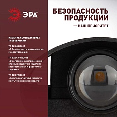 Уличный настенный светильник ЭРА Pictor WL57-2 BK Б0064544 3
