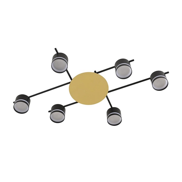 Светильник потолочный Lumion BENUA 8304/6C Фото № 2