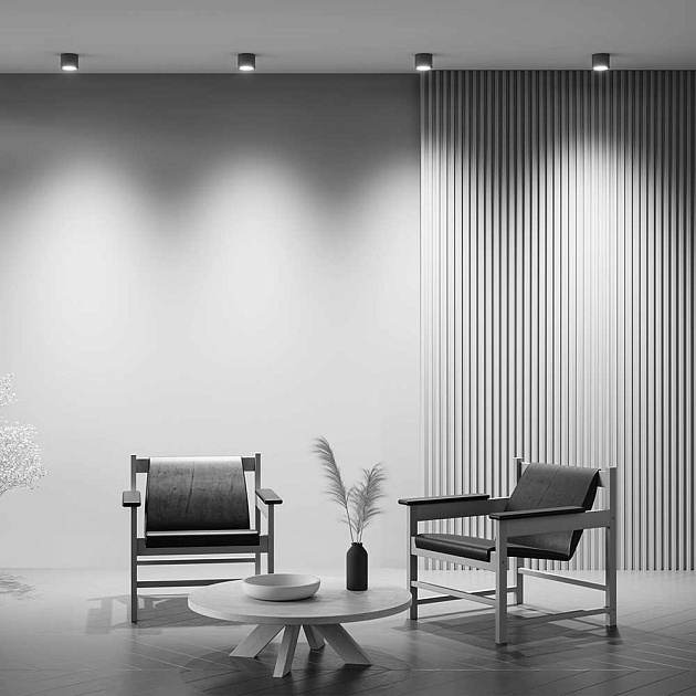 Потолочный светильник Maytoni Technical Rendo C095CL-GX53-GR Фото № 6