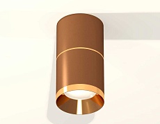 Комплект накладного светильника Ambrella light Techno Spot XS7404061 SCF/PYG кофе песок/золото желтое полированное (C7404, A2072, C7404, N7034) 2